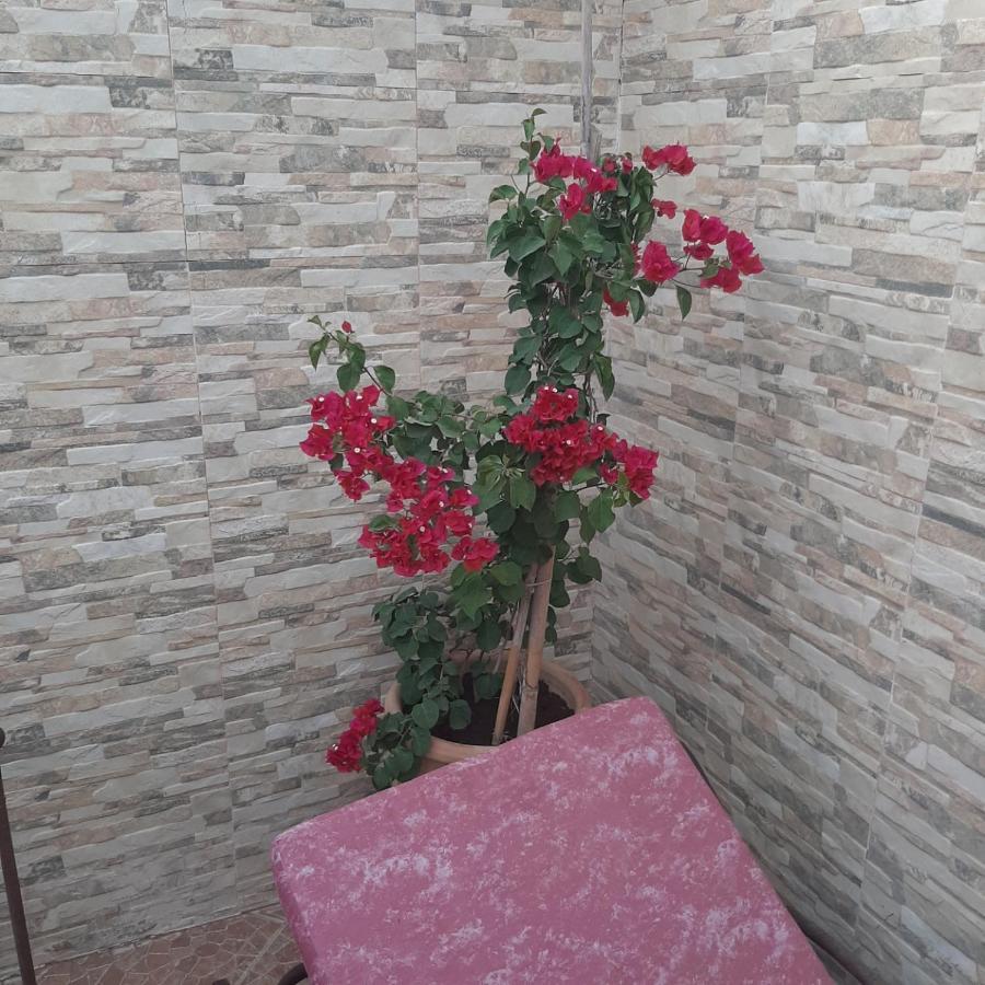 Riad Bab Almadina Marrakesh Buitenkant foto