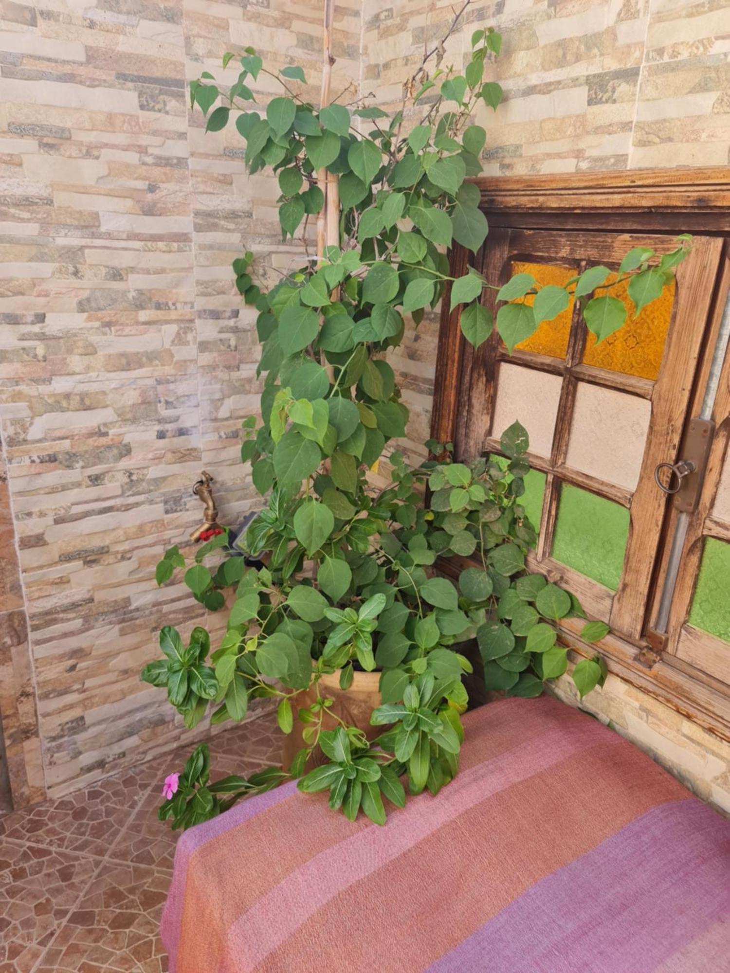 Riad Bab Almadina Marrakesh Buitenkant foto